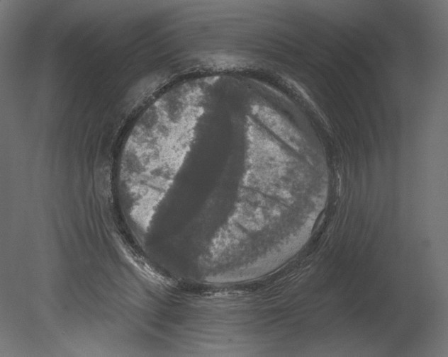 X0000080690447200701121729