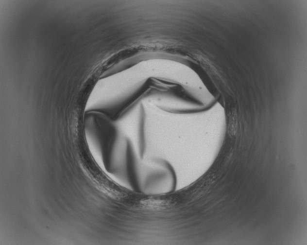 X0000080690448200701121729