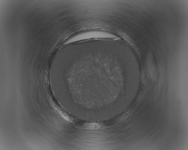 X0000080690449200701121729