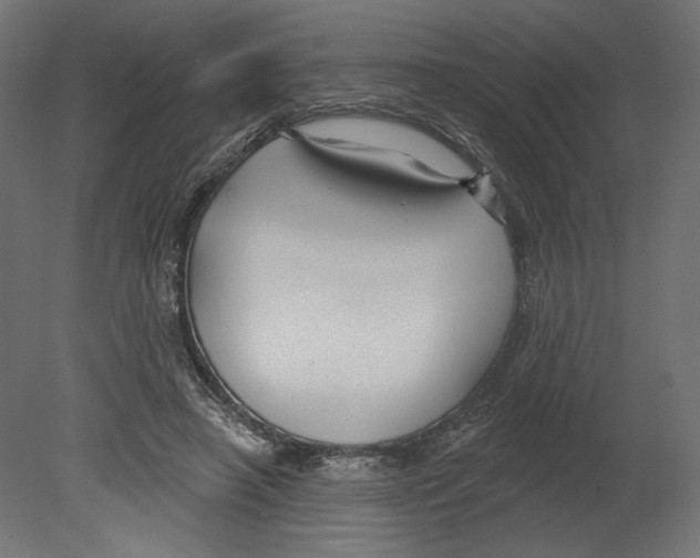 X0000080690450200701121729