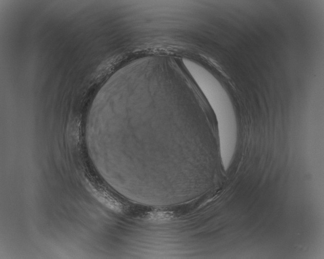 X0000080690451200701121729