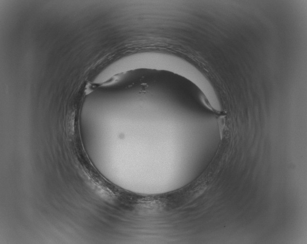 X0000080690454200701121729