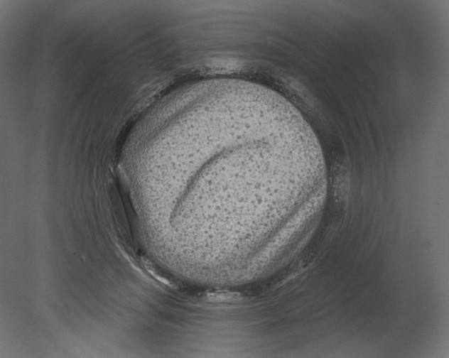 X0000080690455200701121729