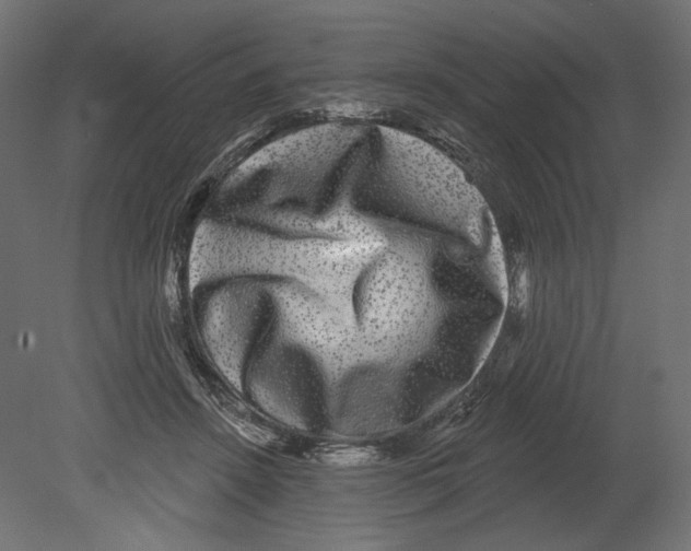 X0000080690456200701121729