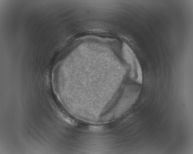 X0000080690457200701121729