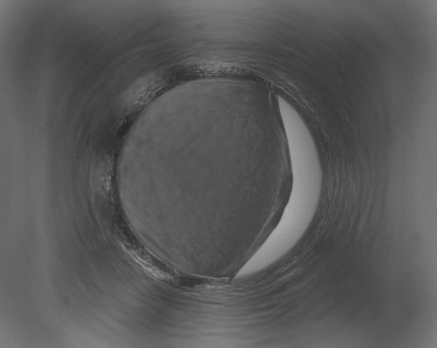 X0000080690458200701121729