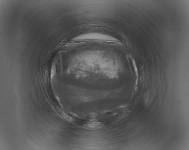 X0000080690459200701121729