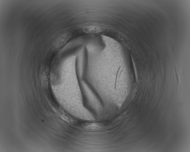 X0000080690460200701121729