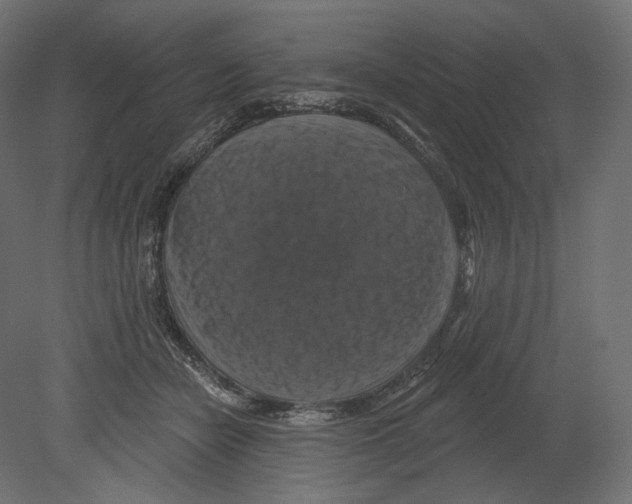 X0000080690462200701121729