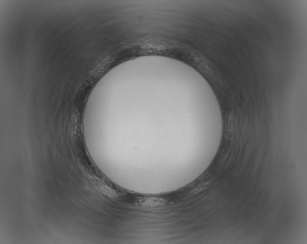 X0000080690463200701121729