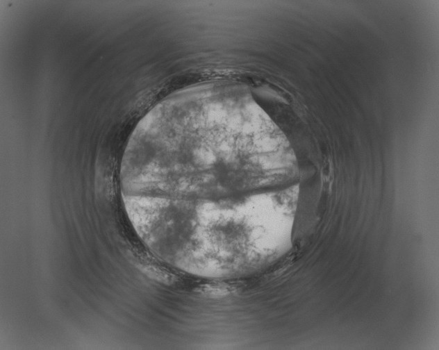 X0000080690464200701121729