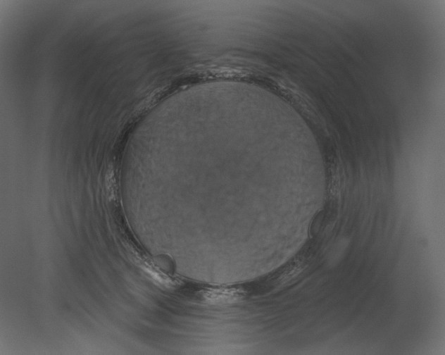 X0000080690465200701121729