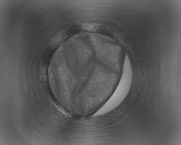 X0000080690466200701121729