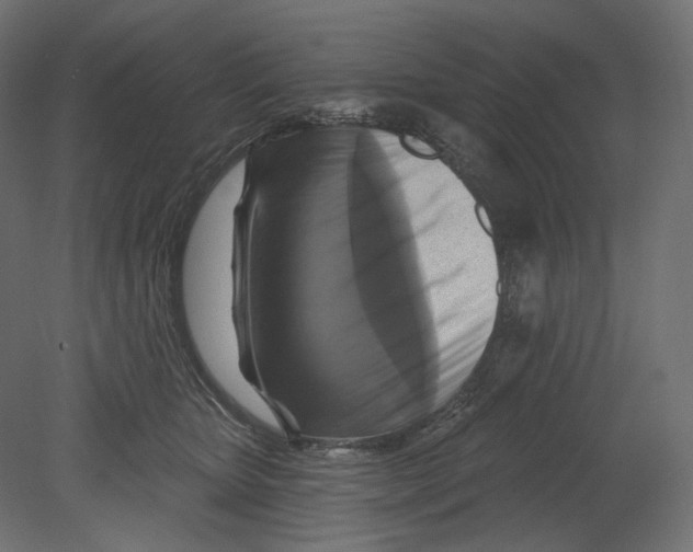 X0000080690467200701121730