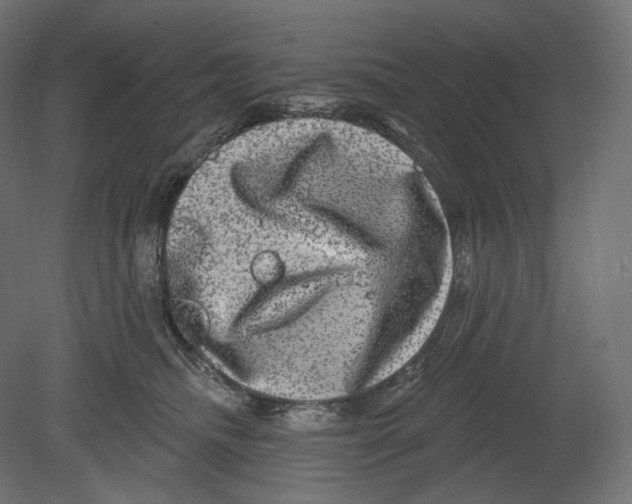 X0000080690468200701121730