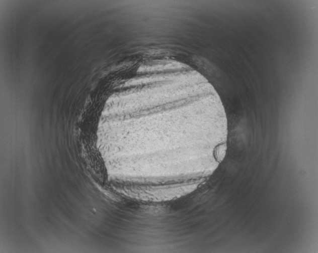 X0000080690469200701121730