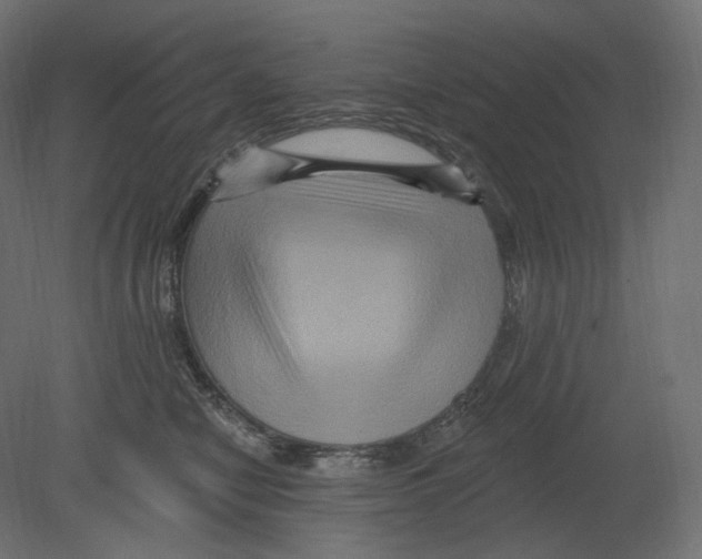 X0000080690470200701121730