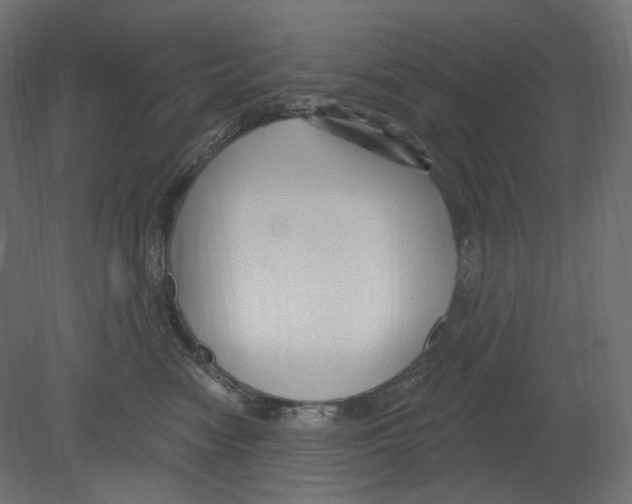 X0000080690474200701121730