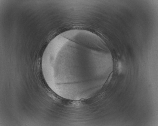 X0000080690475200701121730