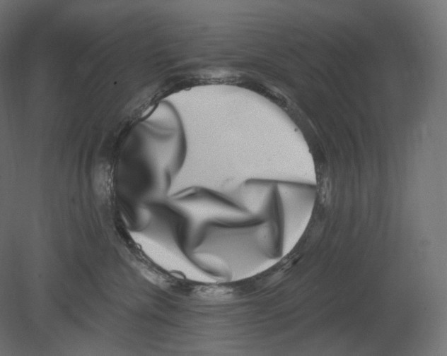 X0000080690476200701121730