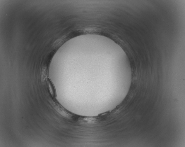 X0000080690478200701121730