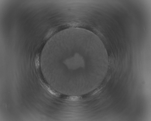 X0000080690479200701121730