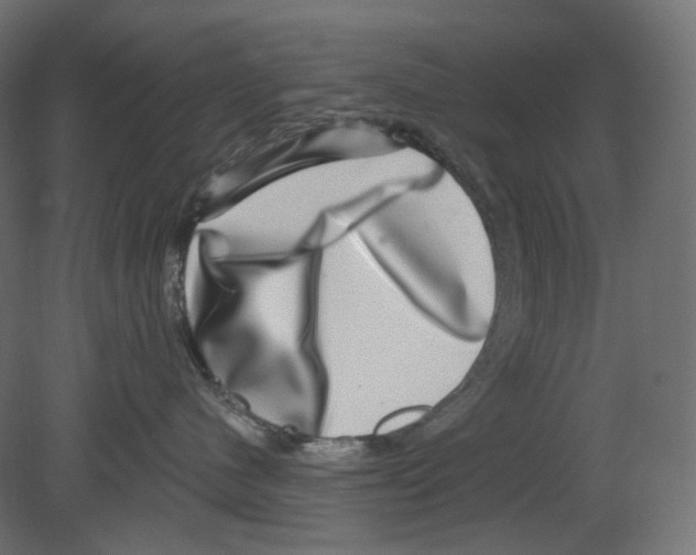 X0000080690480200701121730