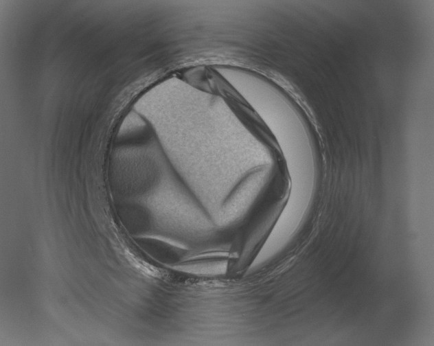 X0000080690481200701121729