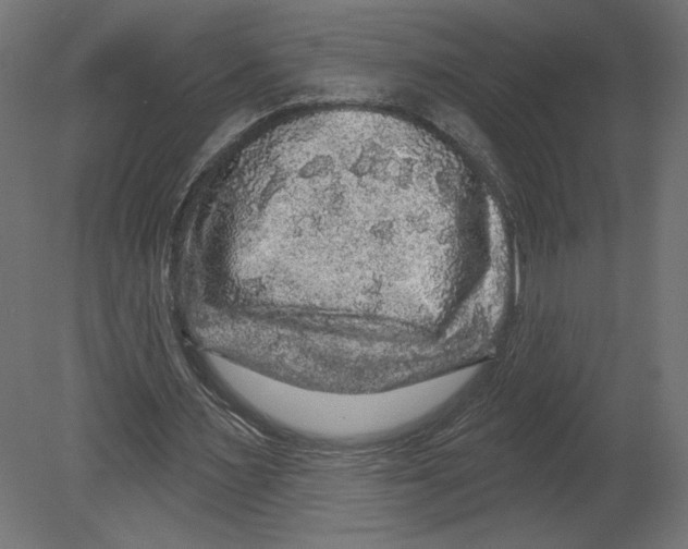 X0000080690483200701121729