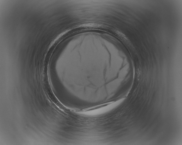 X0000080690484200701121729