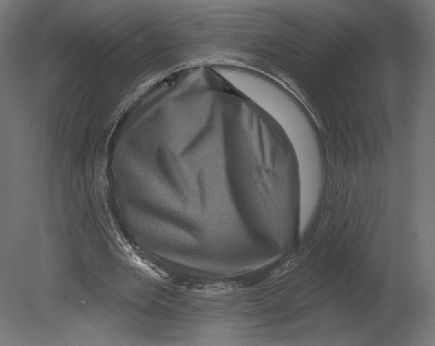 X0000080690485200701121729