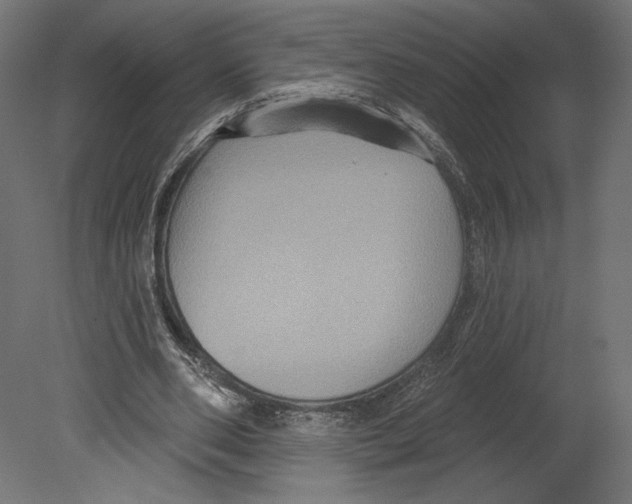 X0000080690486200701121729