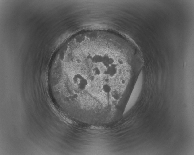 X0000080690487200701121729