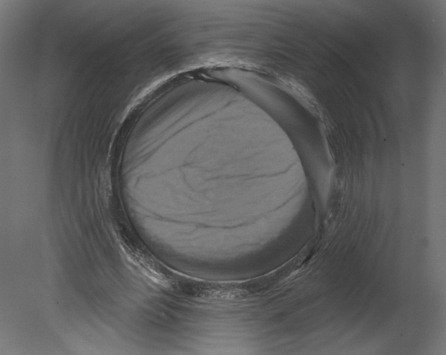 X0000080690488200701121729