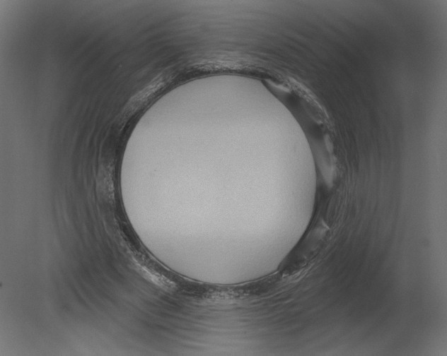 X0000080690489200701121729