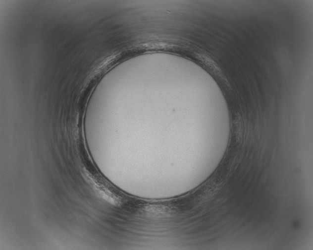 X0000080690490200701121729