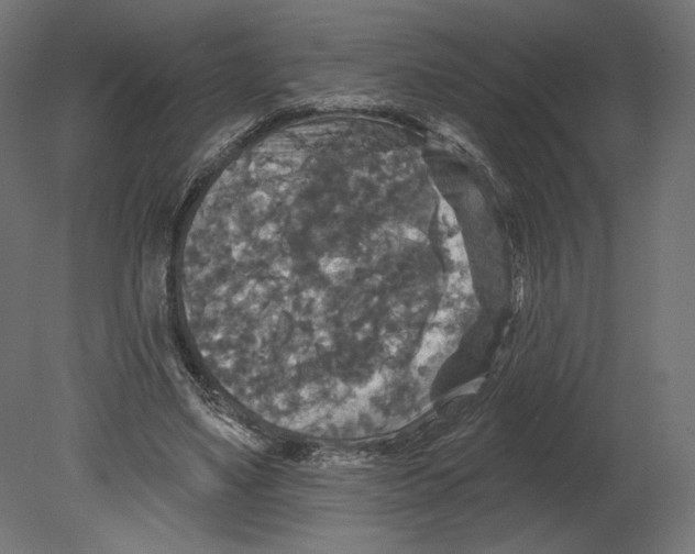 X0000080690491200701121729