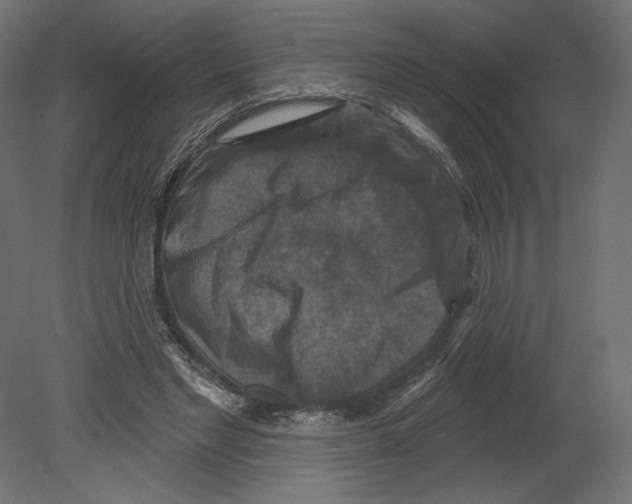 X0000080690493200701121729