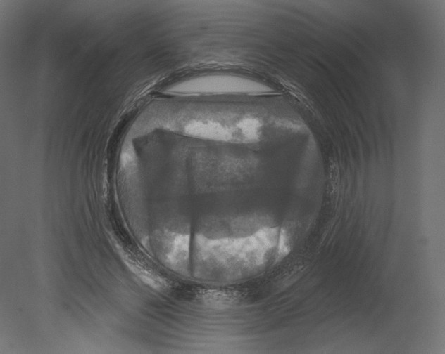 X0000080690494200701121729