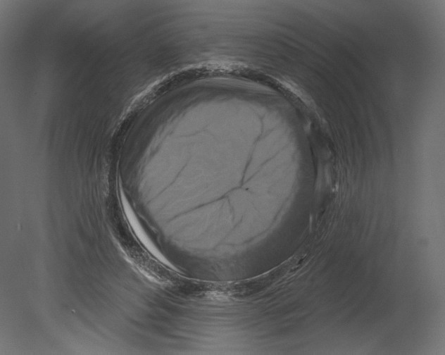 X0000080690496200701121729