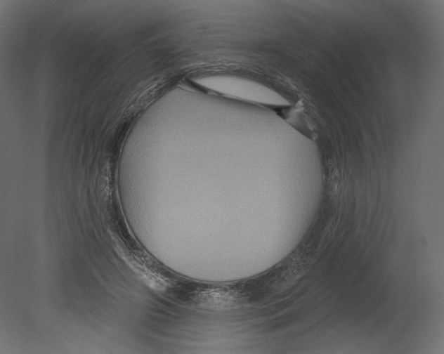 X0000080690498200701121729