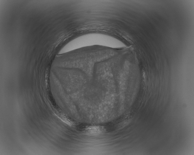 X0000080690499200701121729