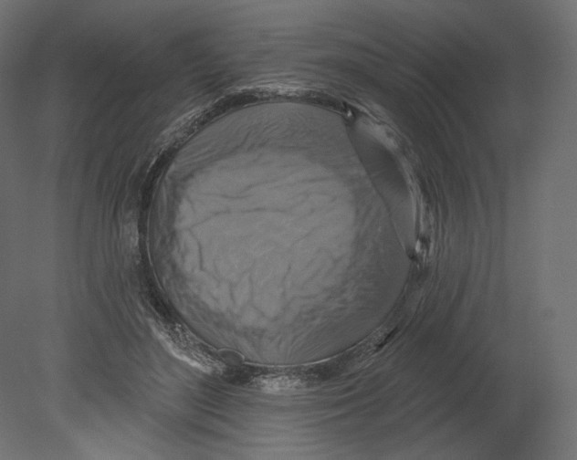 X0000080690500200701121729