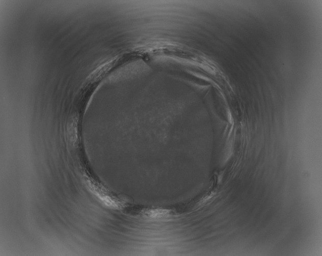 X0000080690501200701121729