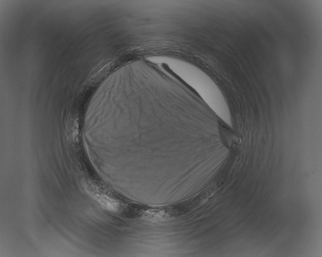 X0000080690502200701121729