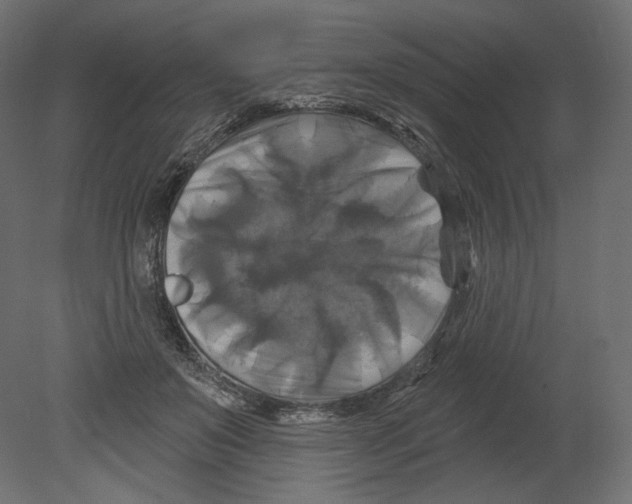 X0000080690503200701121729