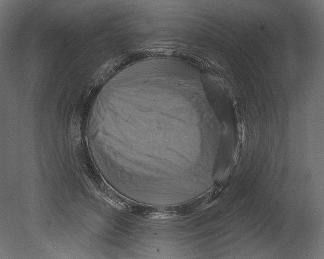 X0000080690504200701121729