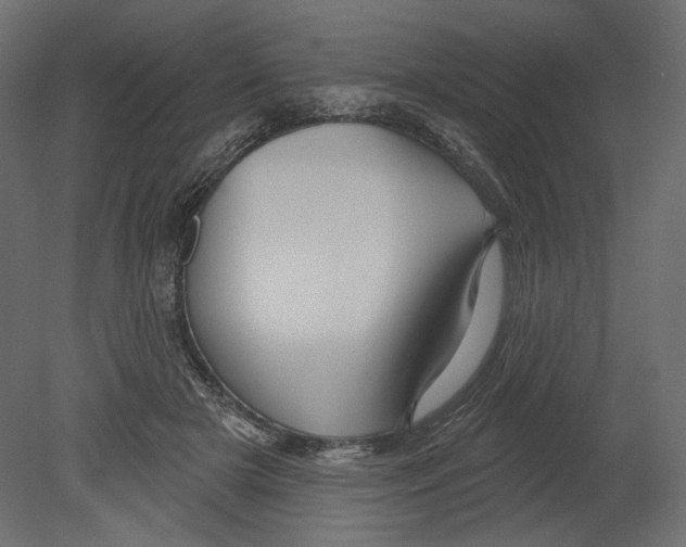 X0000080690505200701121729