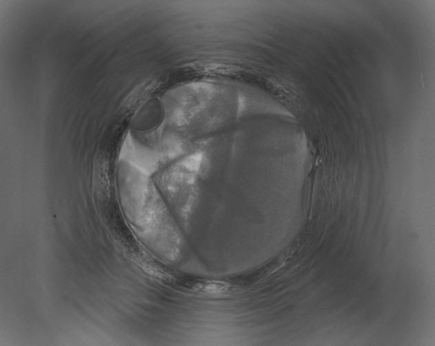 X0000080690506200701121728