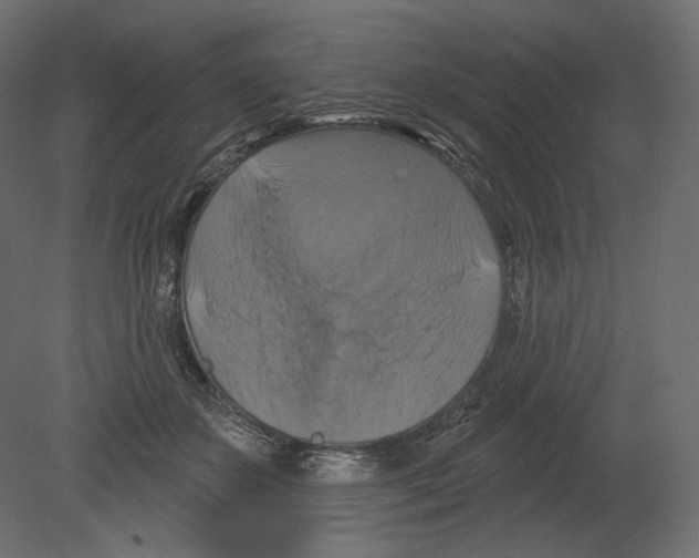 X0000080690507200701121728